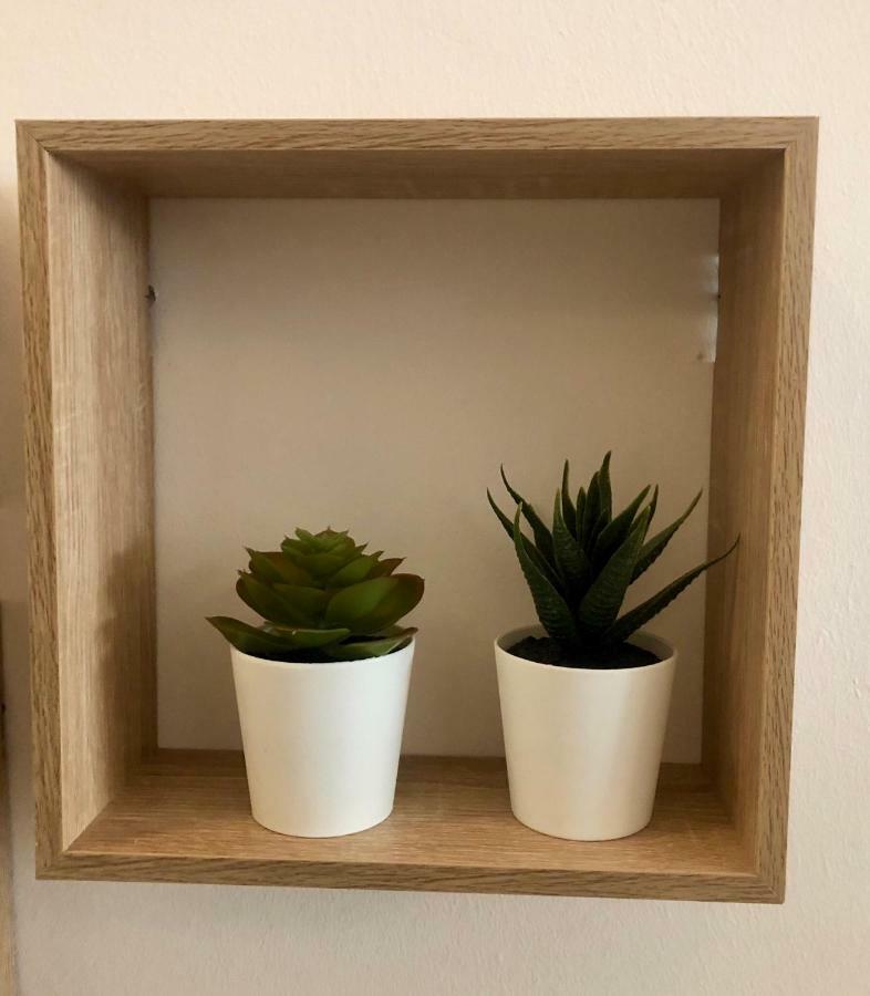 Elenis Athens Apartment Екстериор снимка